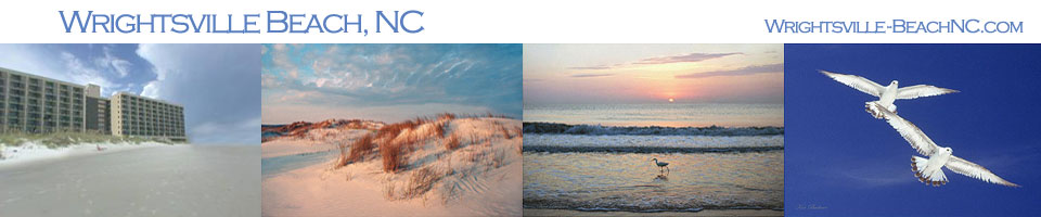 wrightsvillelogogif