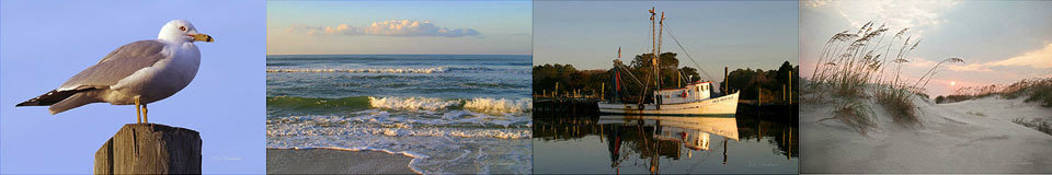 CoastalNC.com-Privacy policy Privacy Policy